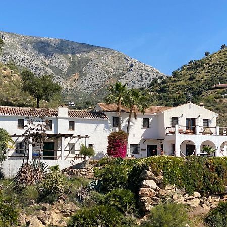 אלורה Cortijo Las Palmeras El Chorro מראה חיצוני תמונה