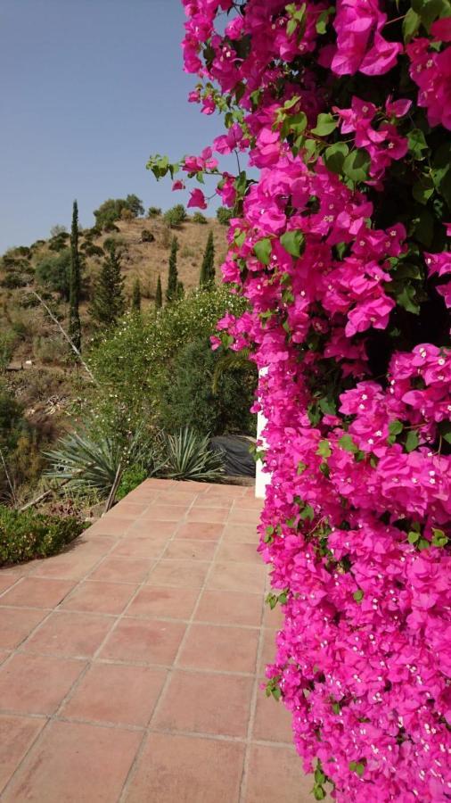 אלורה Cortijo Las Palmeras El Chorro מראה חיצוני תמונה
