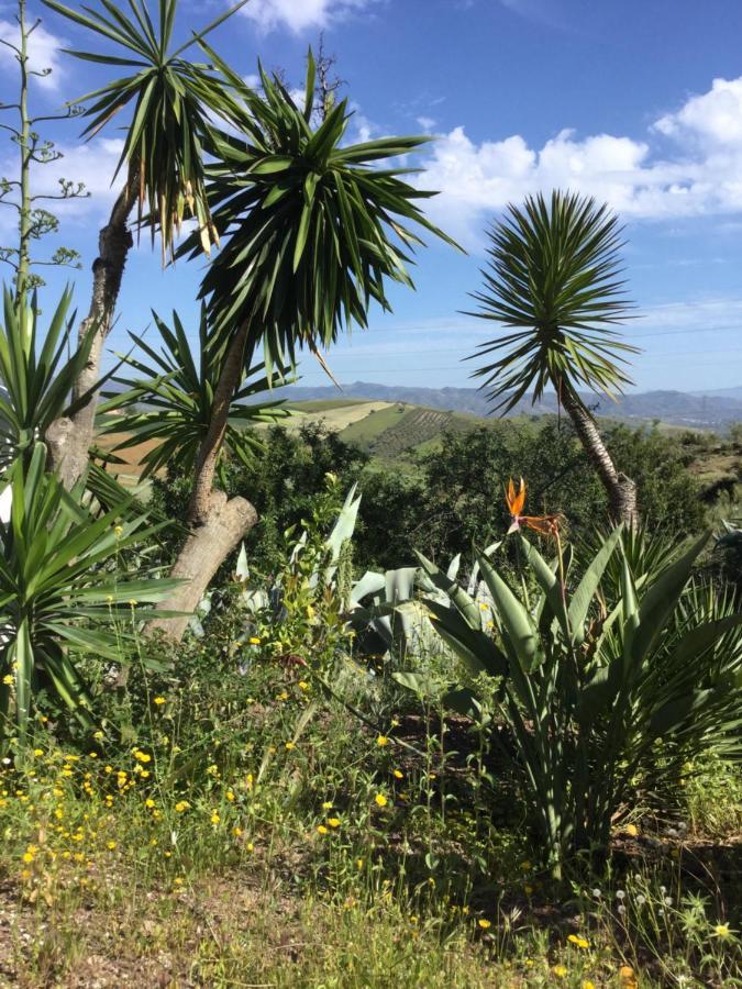 אלורה Cortijo Las Palmeras El Chorro מראה חיצוני תמונה